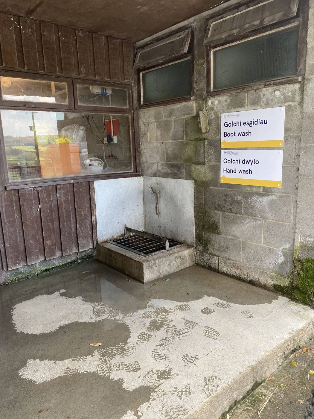 Boot wash facility, Trawscoed Ffarm: before
